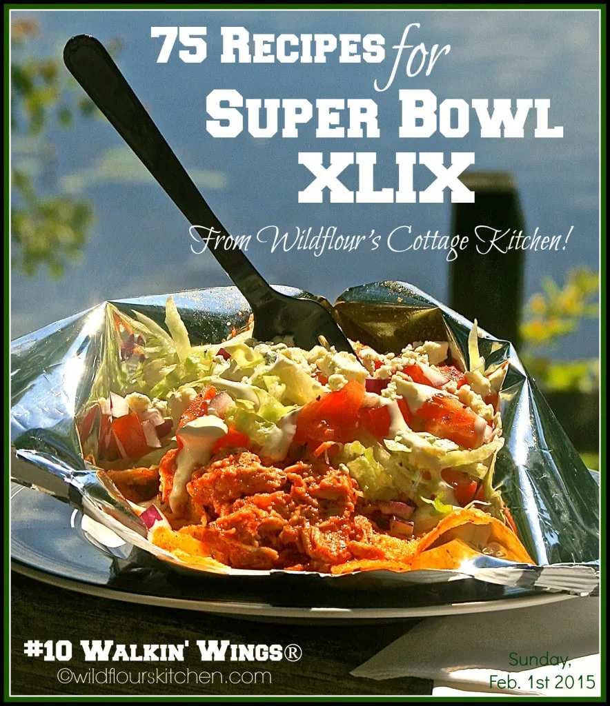 super bowl 2015 main pic