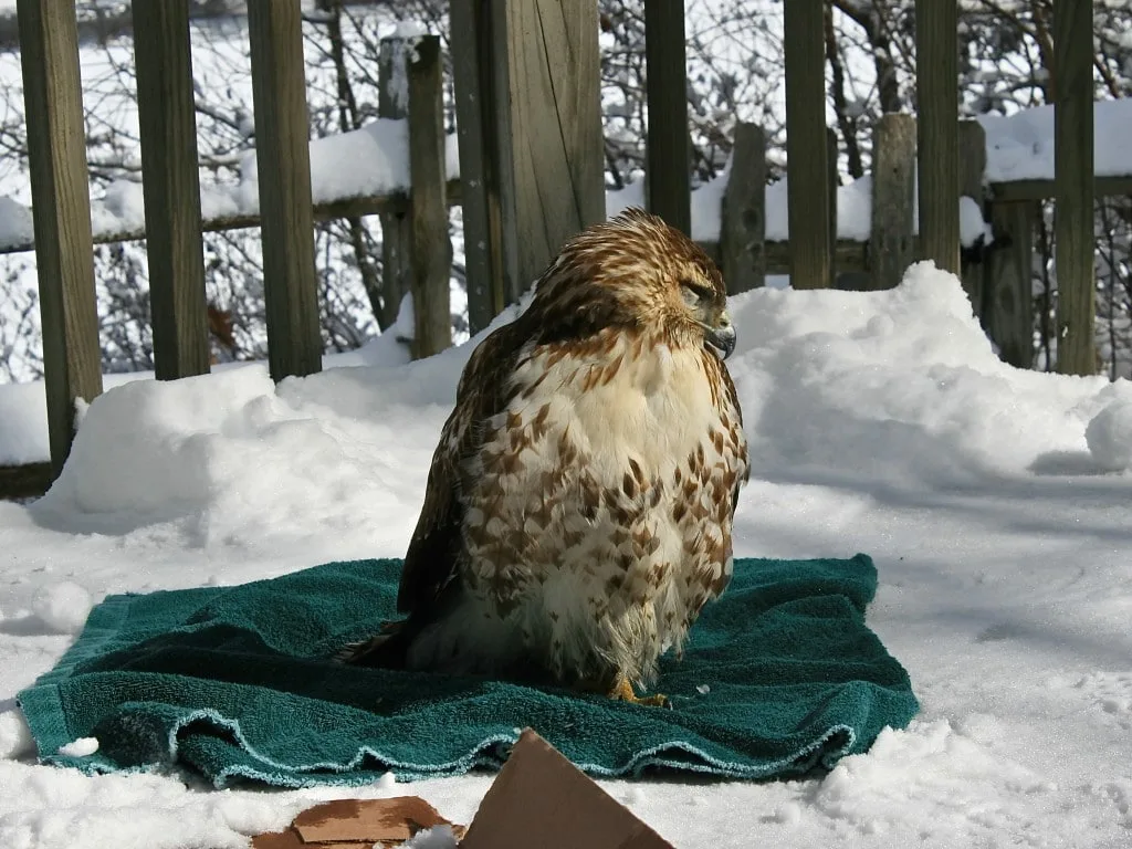 IMG_5261