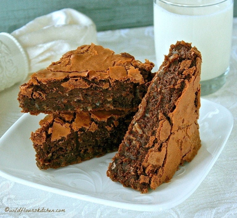 Decadent Coconut Pecan Brownies / Freaky Friday Spring Edition 2016