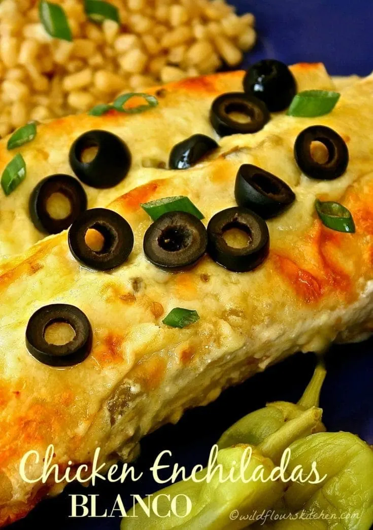Creamy Cheesy Enchiladas Blanco