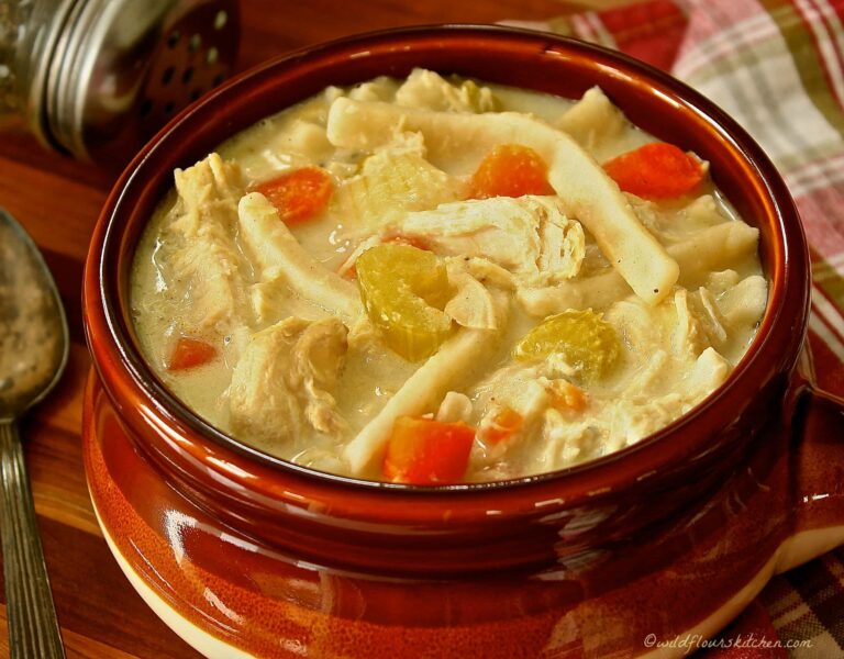 Creamy Chicken Stew with Dumpling Noodles