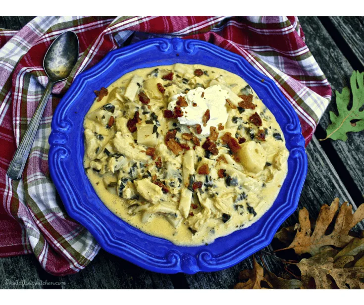 Cheesy Chicken Pierogi Soup